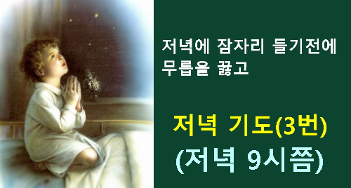 다운로드 (1).png