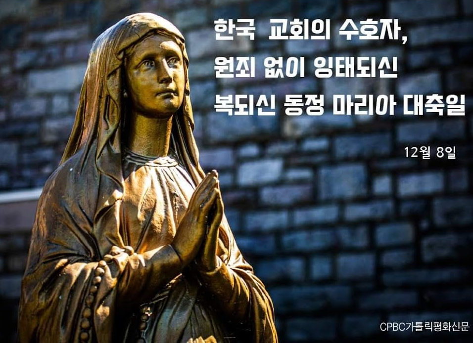 SE-49aa3b40-c786-435c-bfb4-ce090ddd1dea.jpg