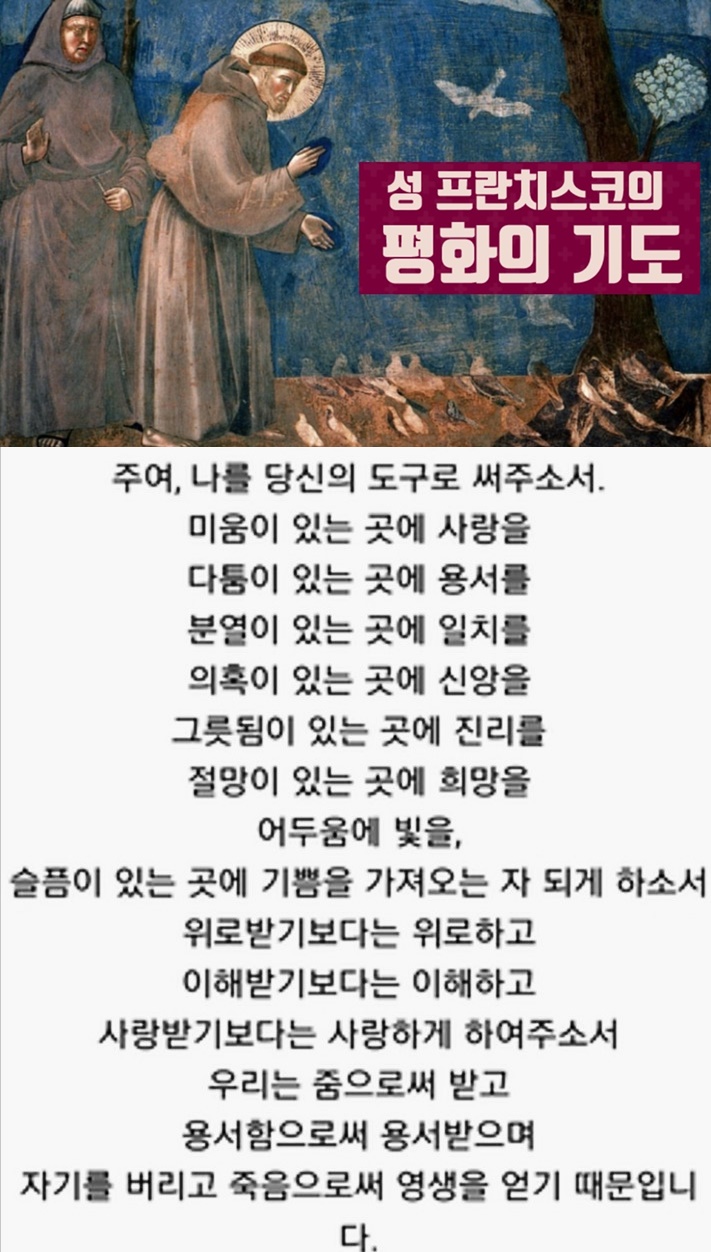 화면 캡처 2026-02-01 223222-vert.jpg