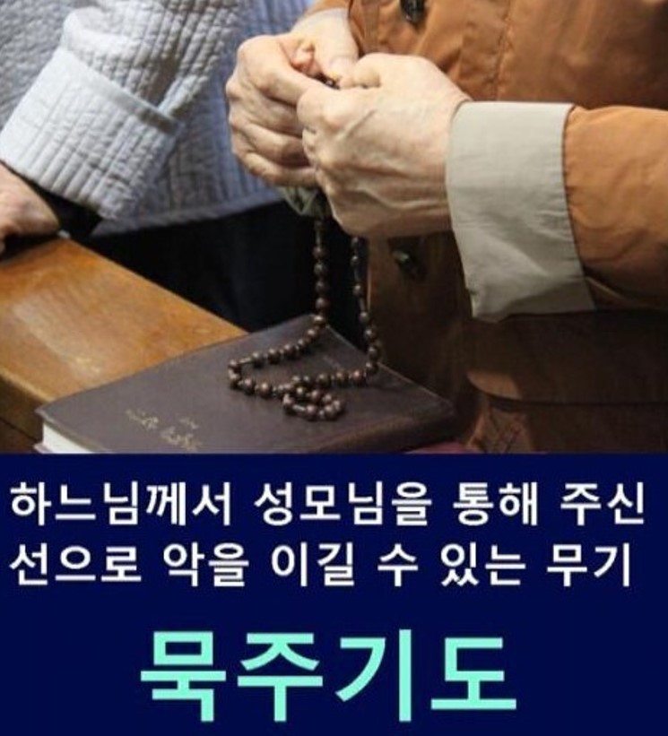 화면 캡처 2025-10-20 182225.jpg