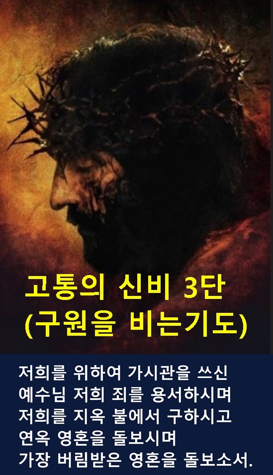 화면 캡처 2024-12-31 115548-vert.jpg