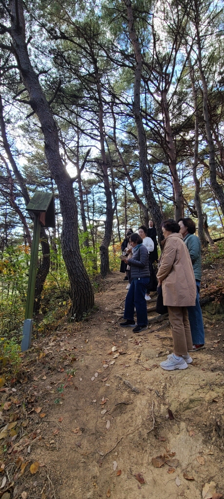 [회전][크기변환]1667536077770-9.jpg