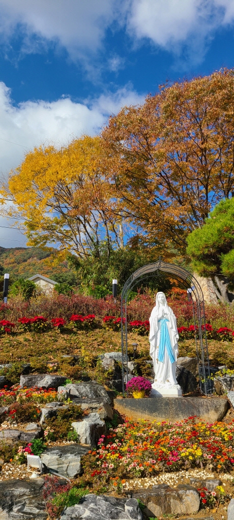 [회전][크기변환]1667536077770-13.jpg