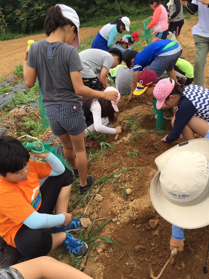 2017 여름신앙학교 복산성당1503455859851s.jpg