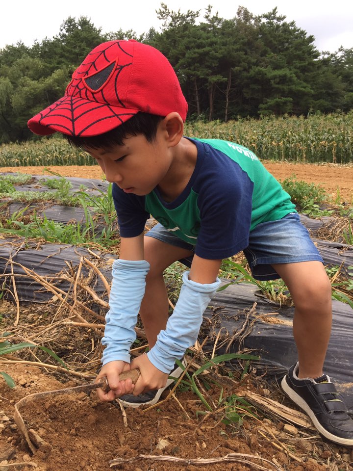 2017 여름신앙학교 복산성당1503455850751s.jpg