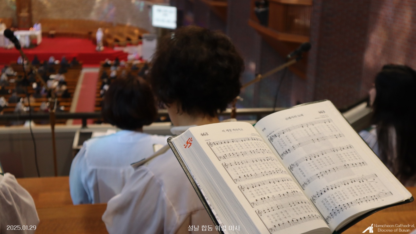 1738211250674-10.jpg