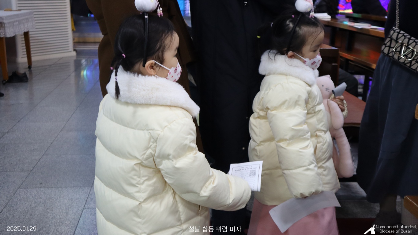 1738211250674-5.jpg