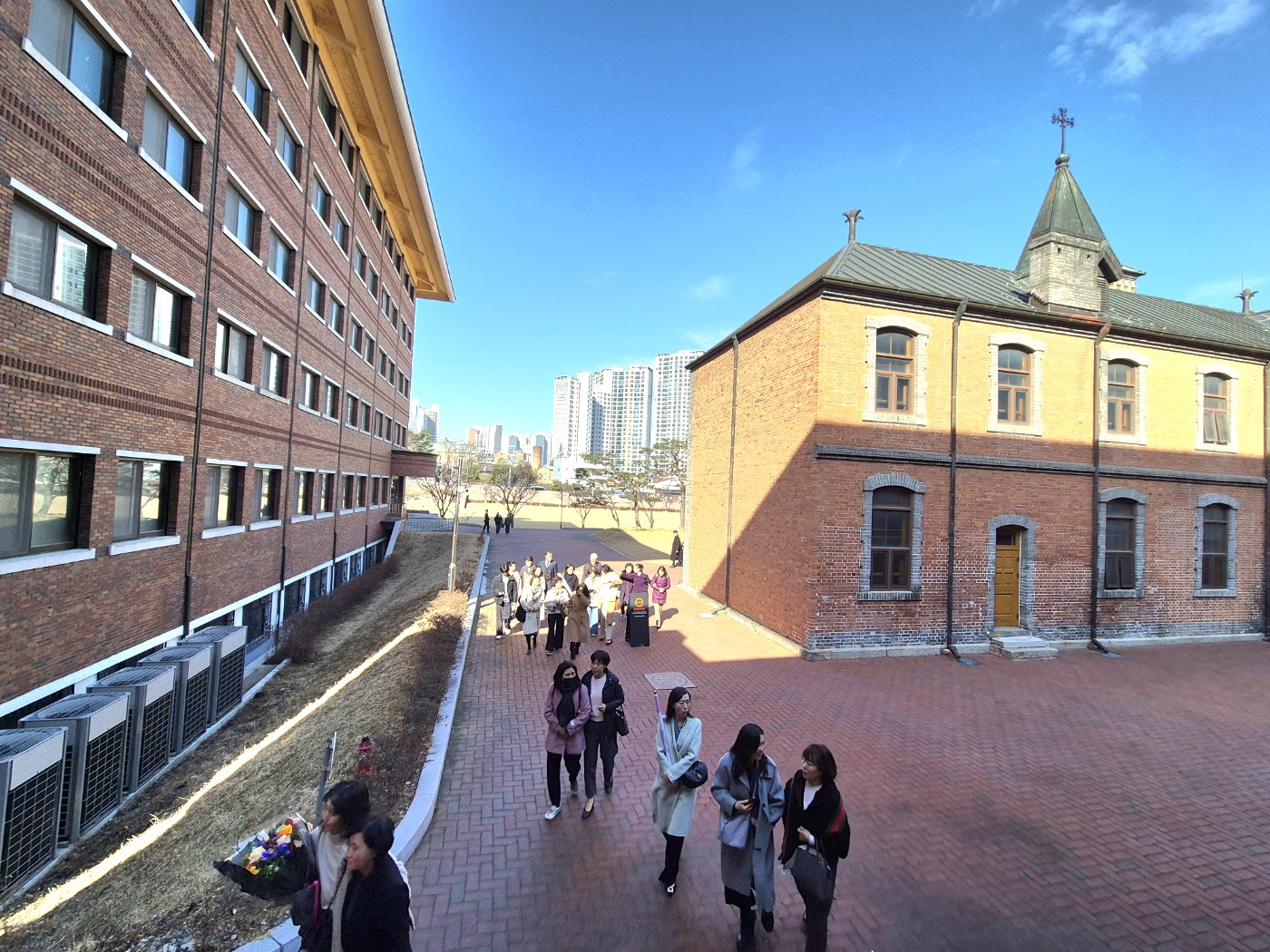 1740932368194-8.jpg
