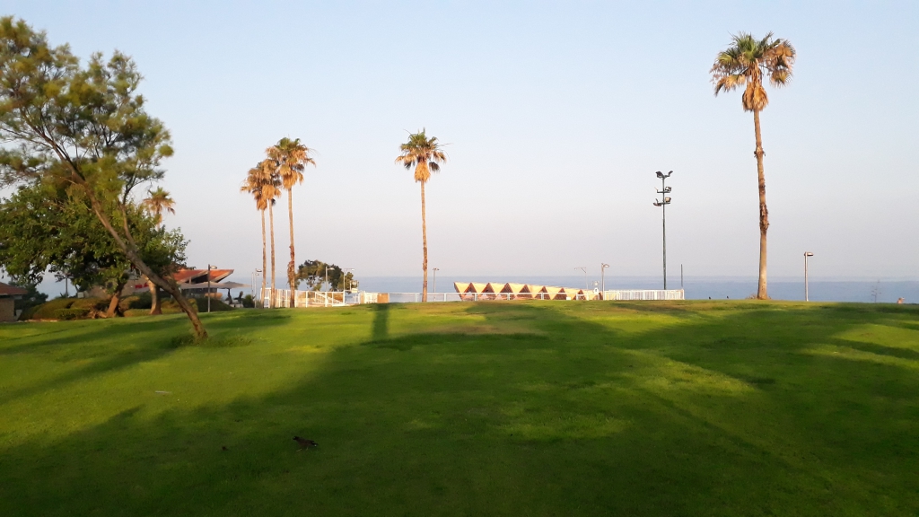 20190619_063134.jpg
