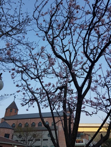 크기변환_20180326_171018.jpg