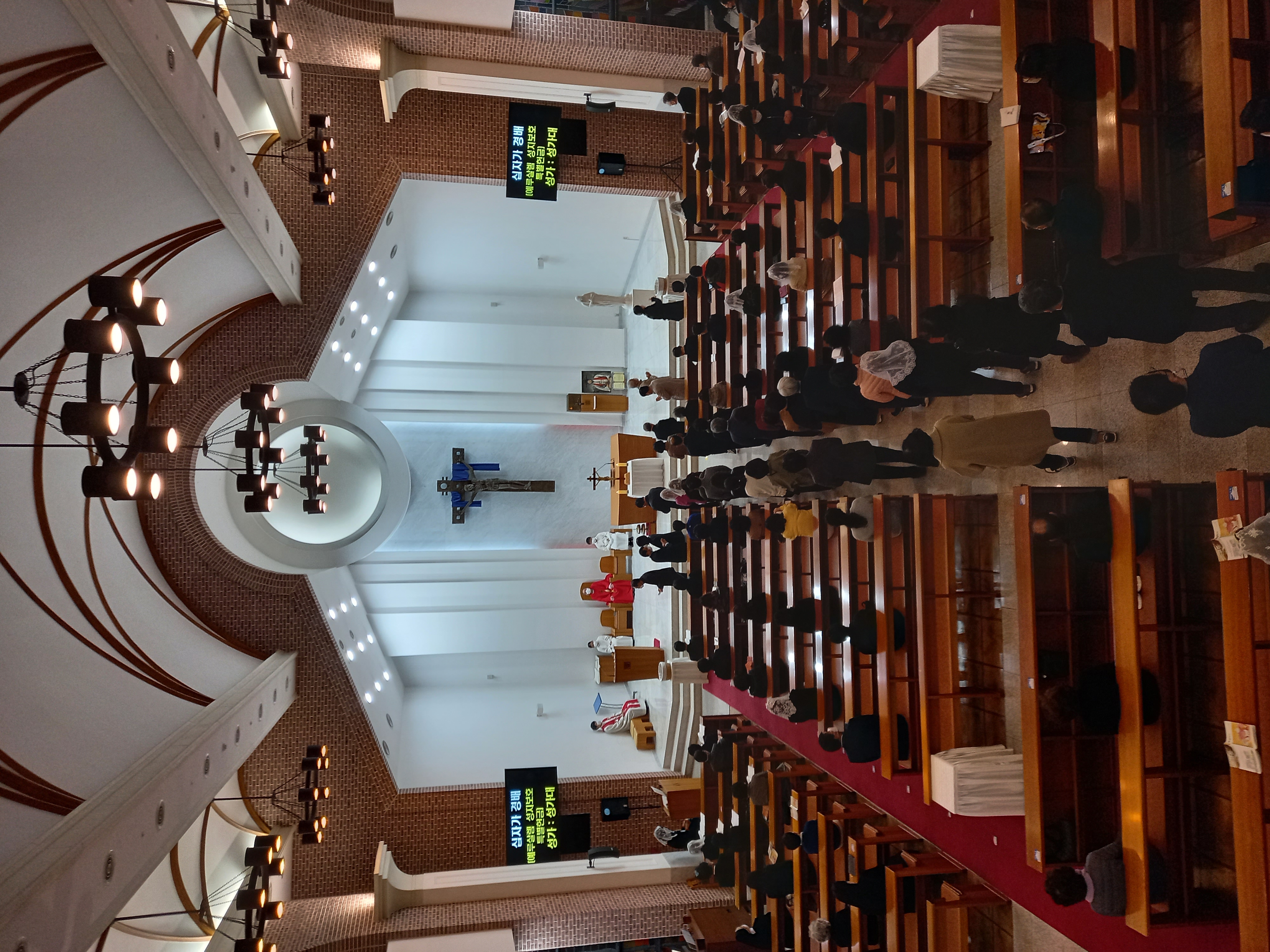 20210402_204935.jpg