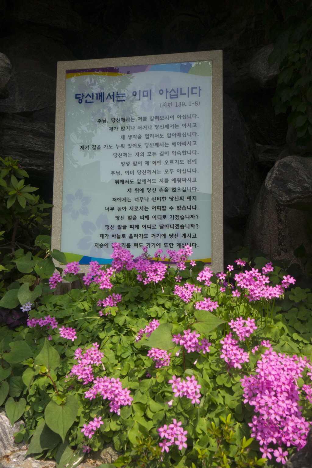 a부곡성당12.jpg