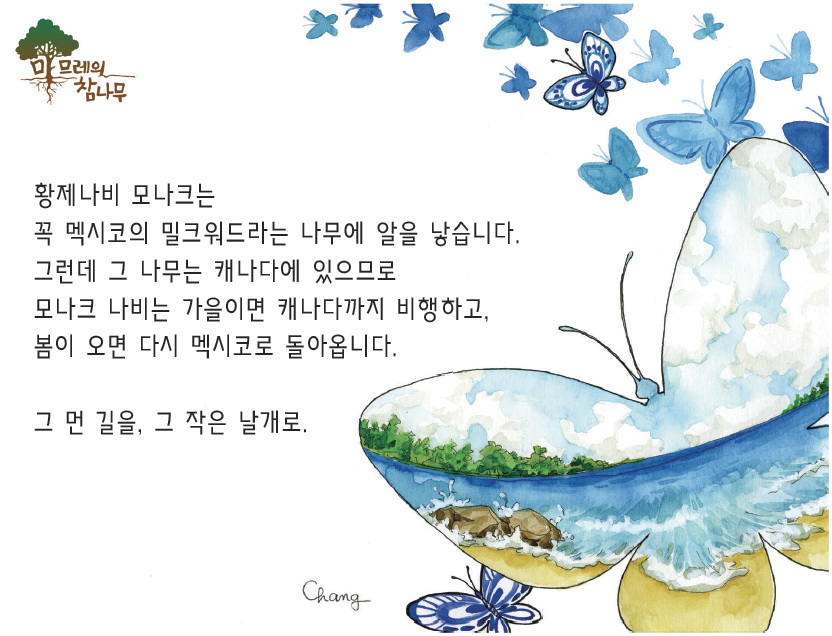 황제나비모나크.jpg