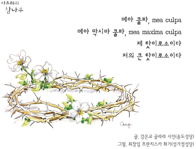 2469호 마므레의 참나무.png