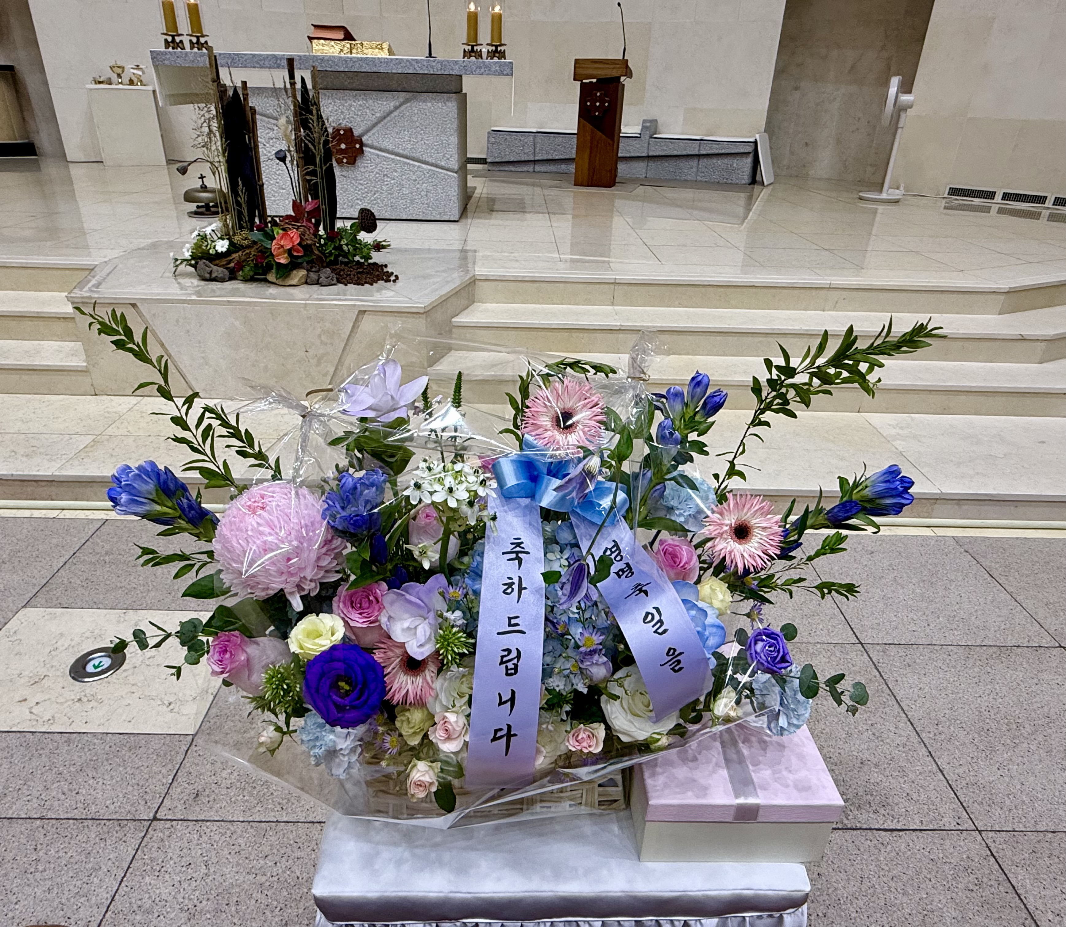 IMG_6066.jpeg