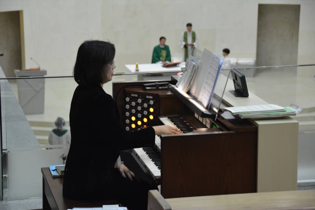 DSC_0012.JPG
