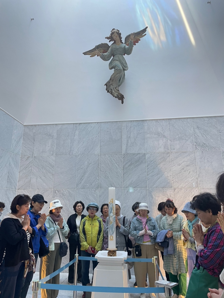IMG_9557.jpeg