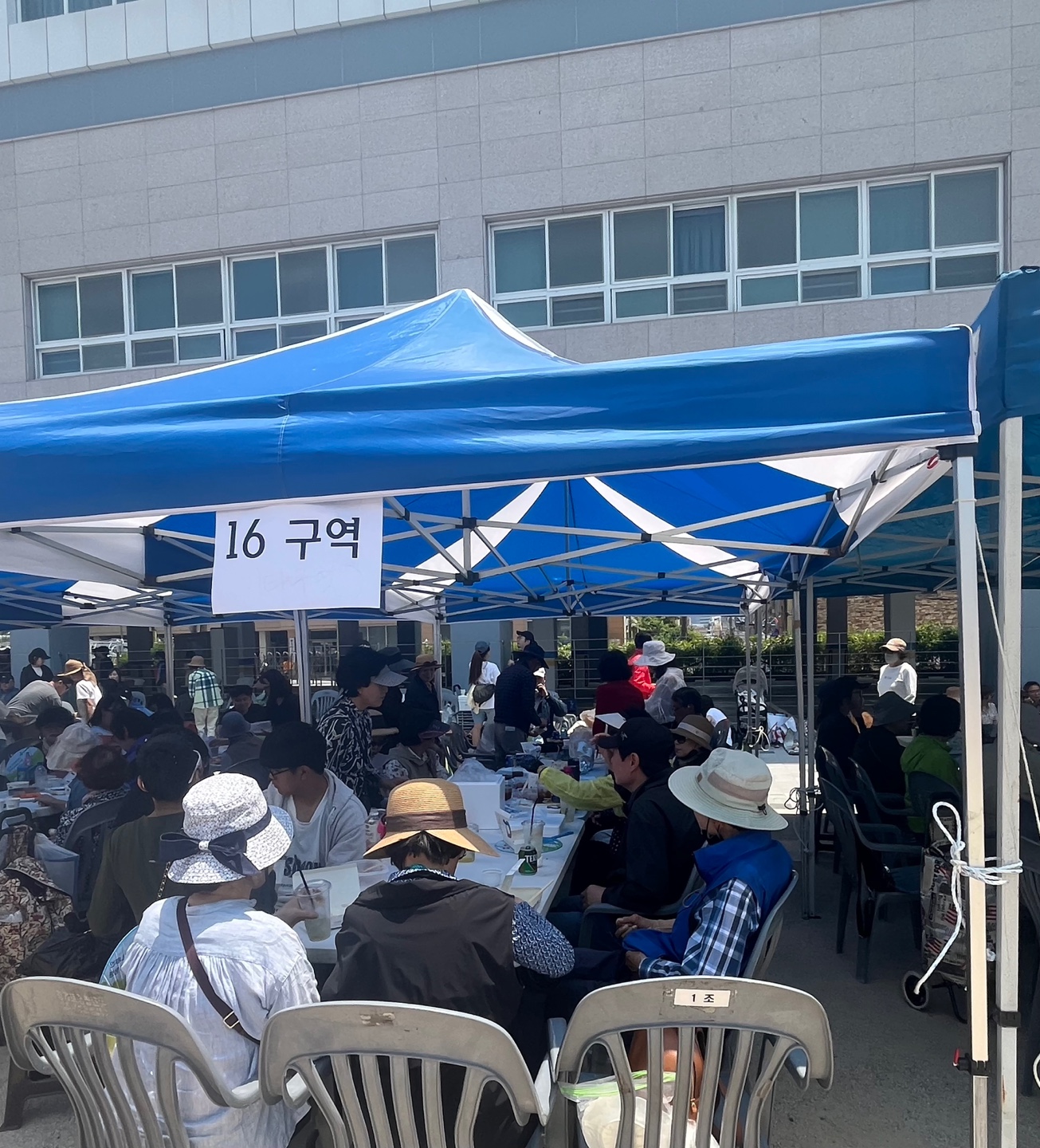 IMG_3666.jpeg