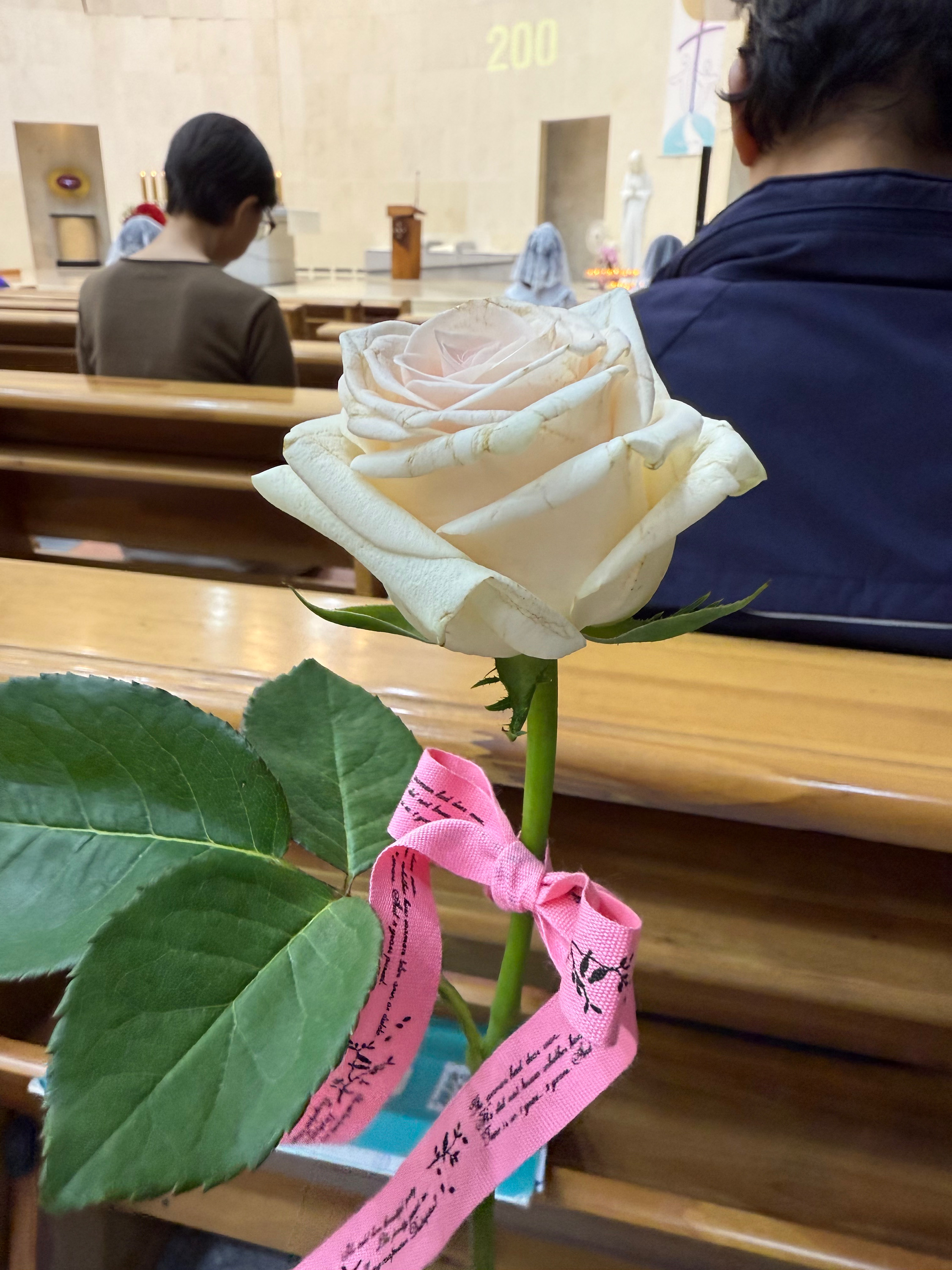 IMG_4276.jpeg