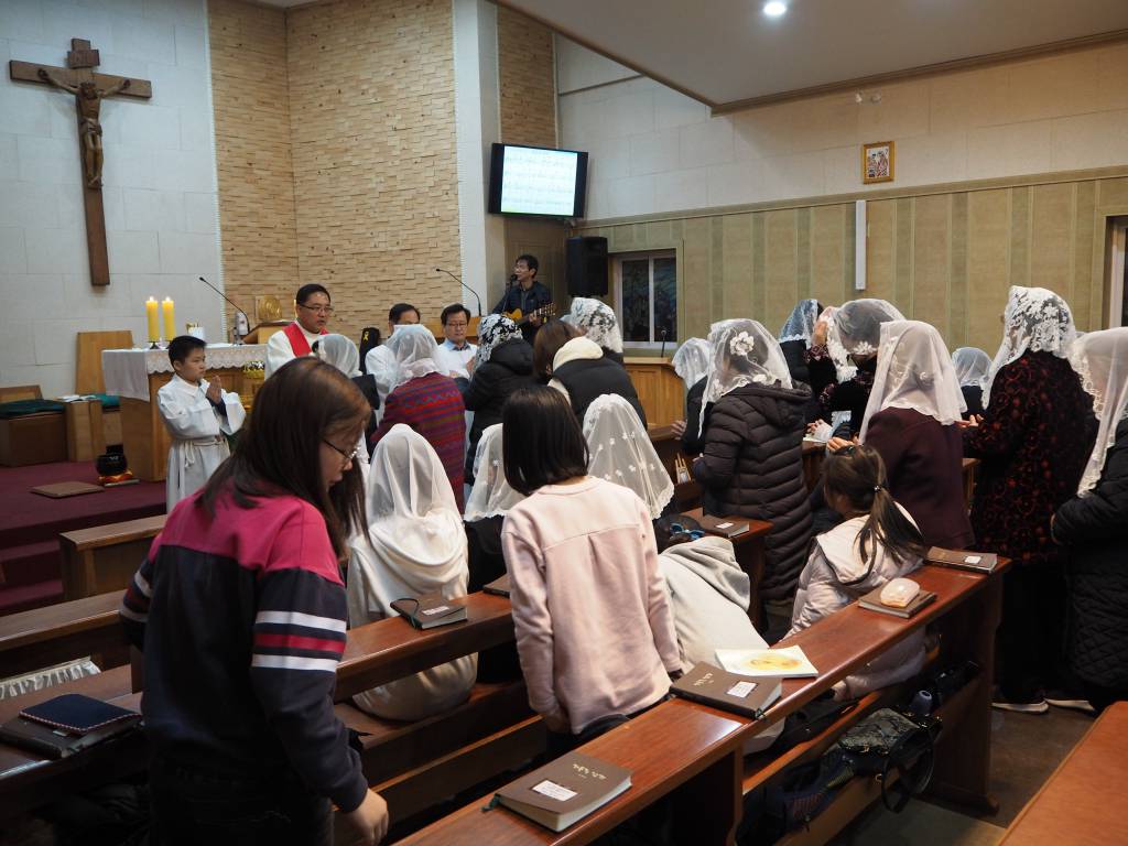P1013811.JPG