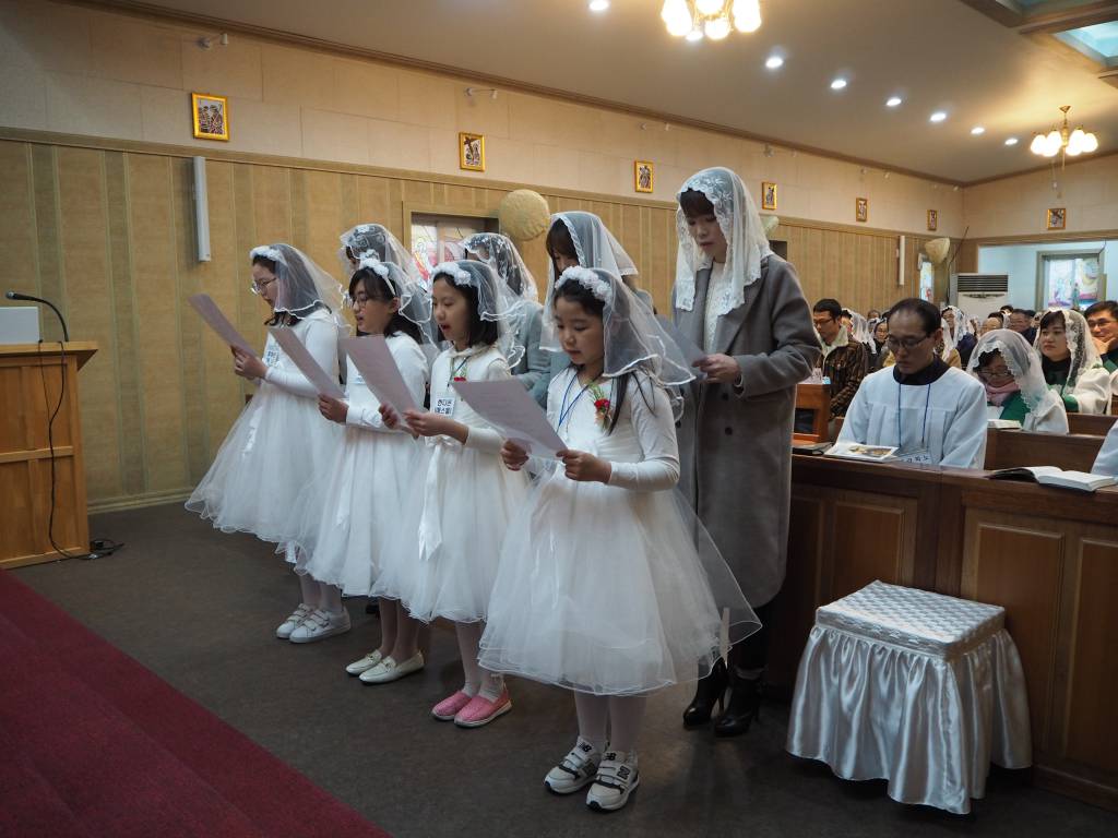 P1013882.JPG