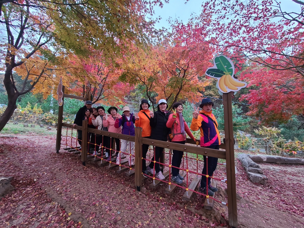 KakaoTalk_20241117_172546383_25.jpg