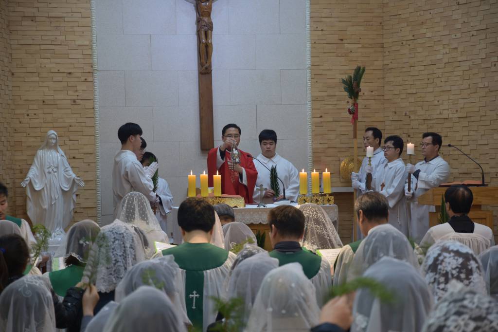DSC_4022.JPG