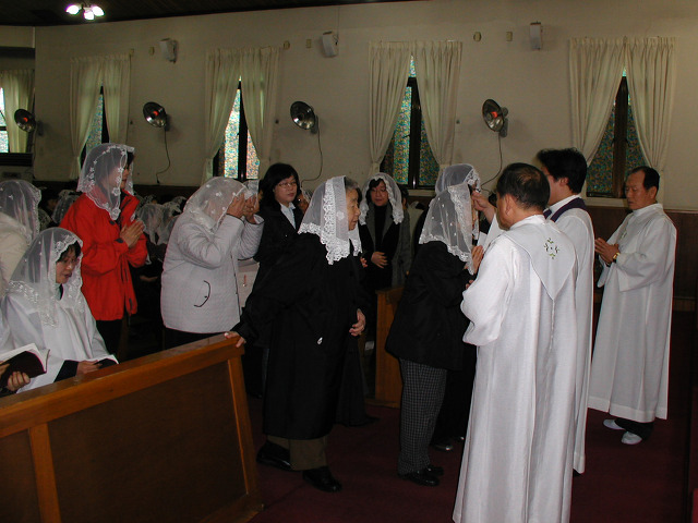 P2220004[1].jpg
