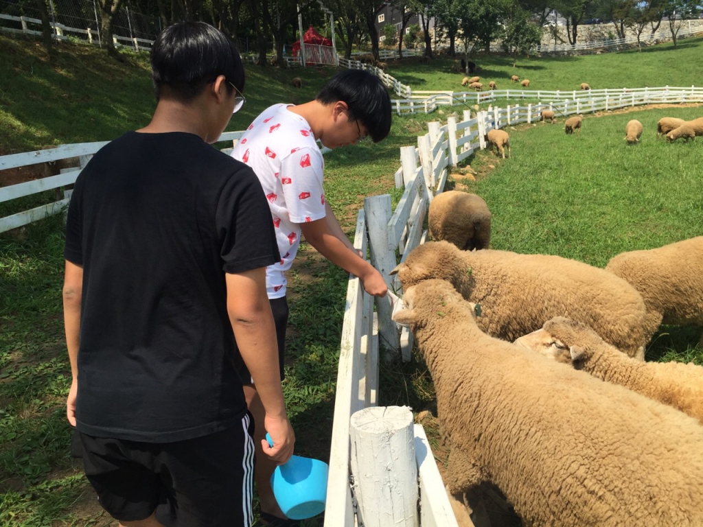 [크기변환]주일학교복사단캠프 (170).jpeg