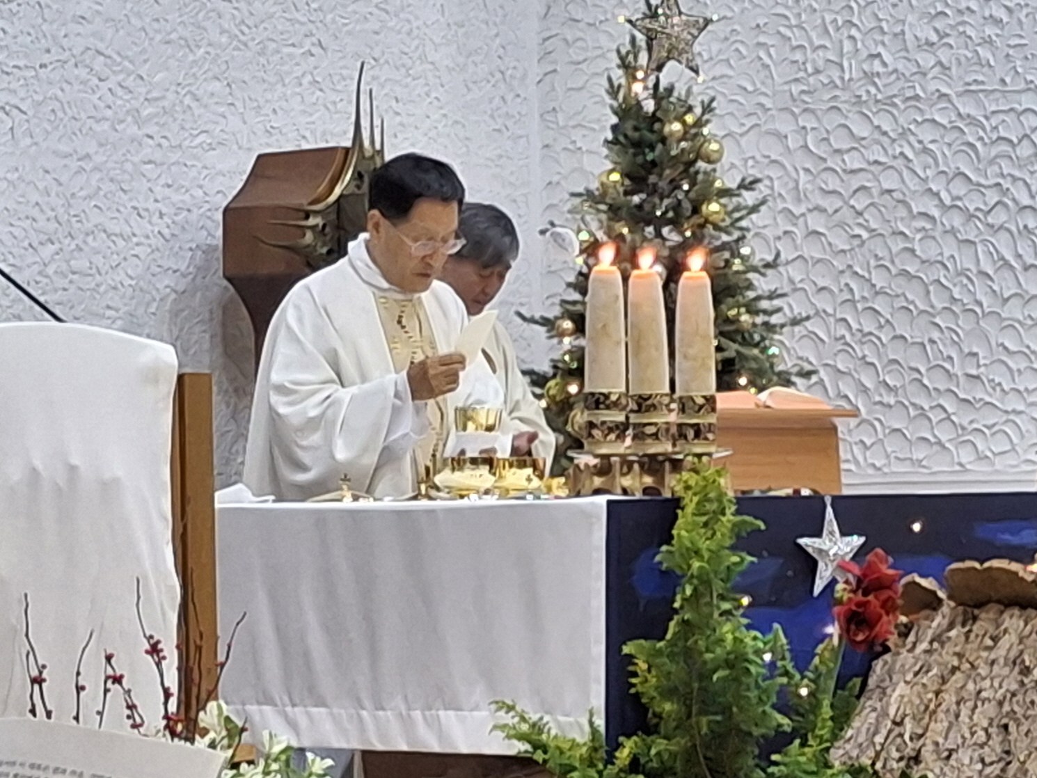 251224 성탄대축일밤미사_성체 (27).jpg