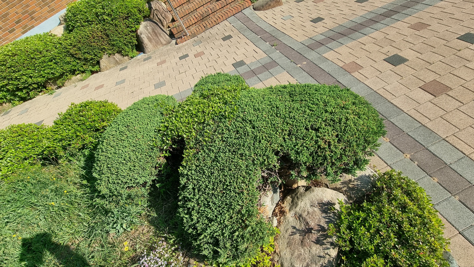 1746064805775-5.jpg