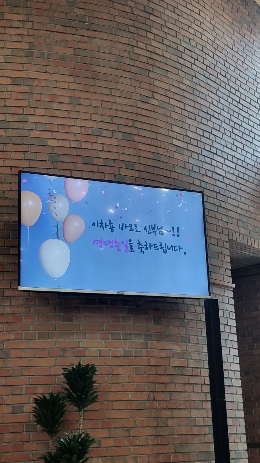 1751291594281.jpg