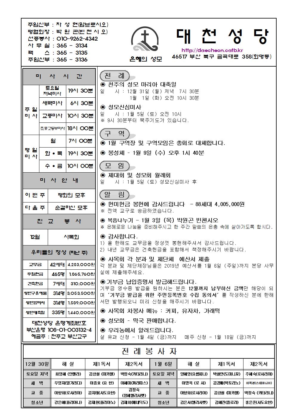 대천20181230001.jpg