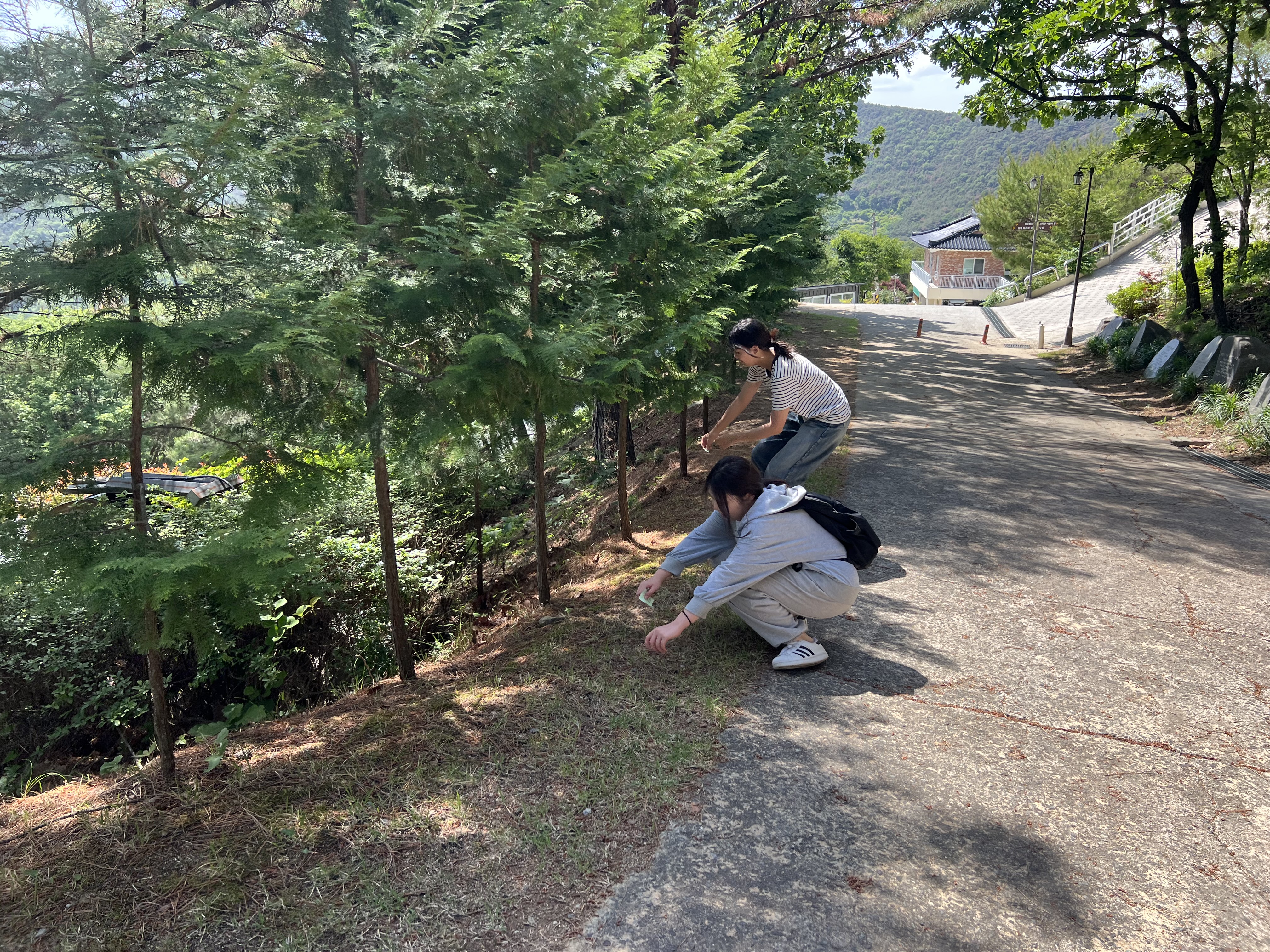 IMG_8776.jpeg