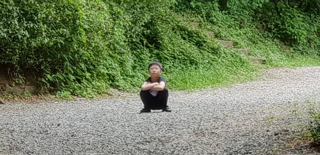 20180513_05.jpg