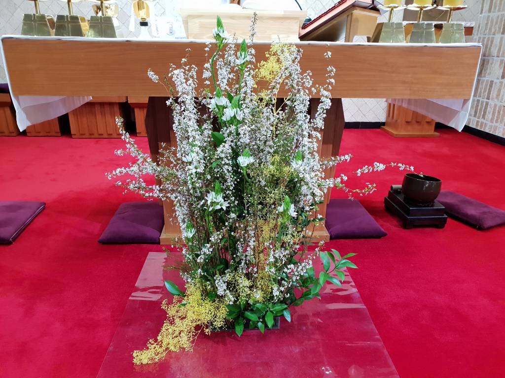 20180415_115439.jpg