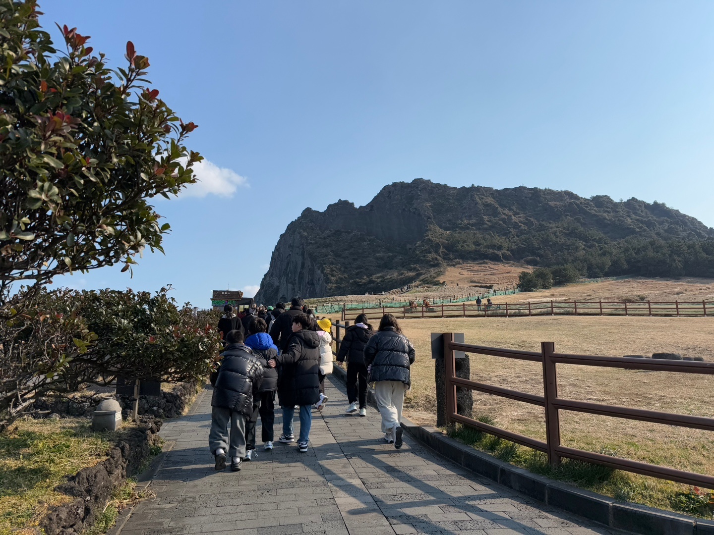 KakaoTalk_20250115_132634549_11.jpg