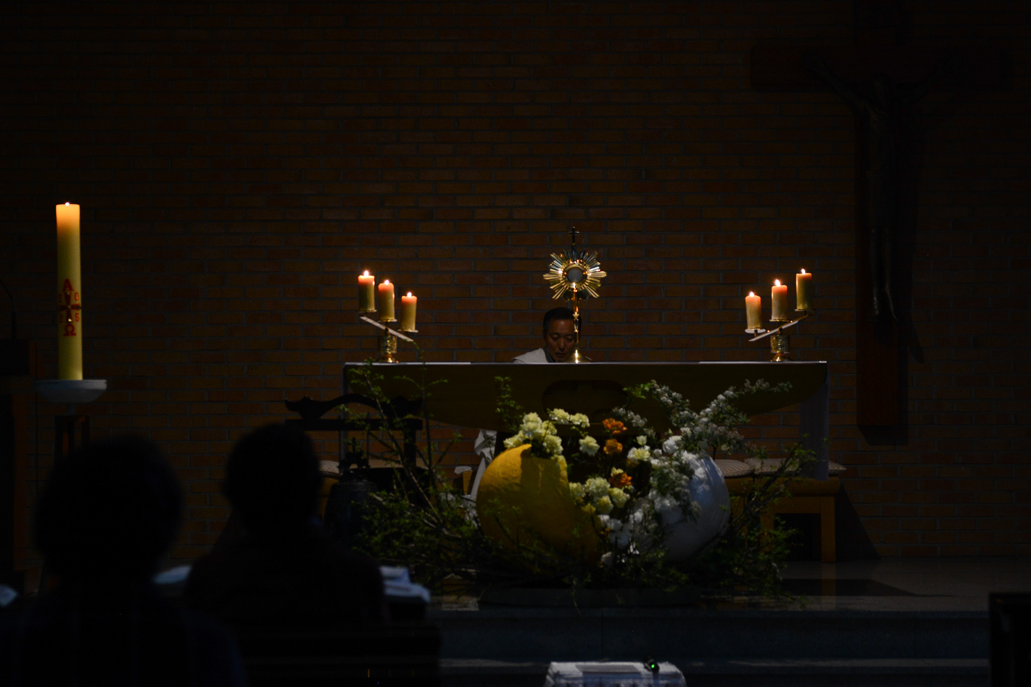 DSC_4376.jpg