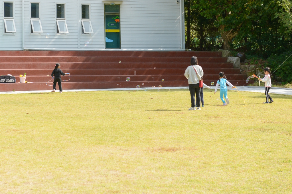 DSC_1237.jpg