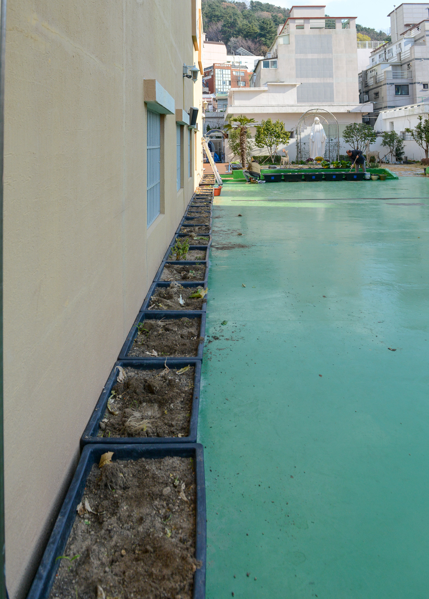 DSC_2342.jpg
