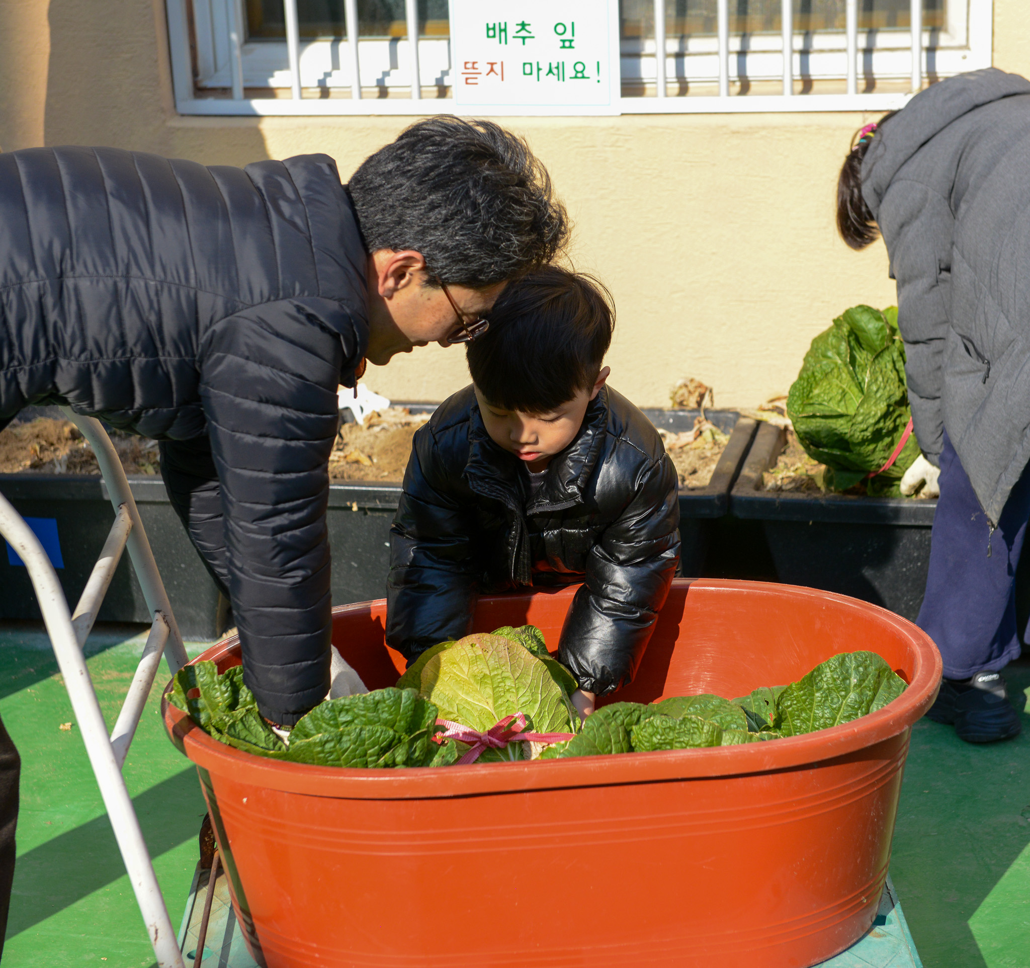 DSC_2338.jpg