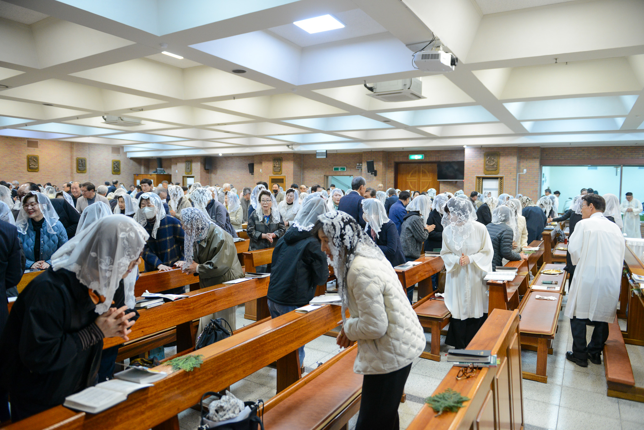 DSC_3995.jpg