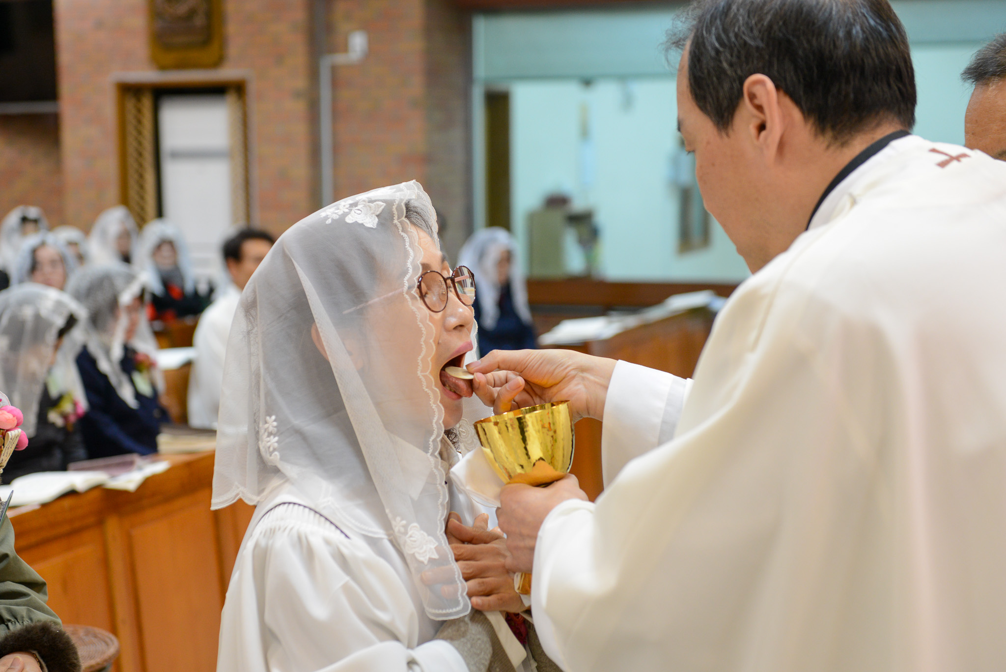 1월 양혈성체 10.jpg