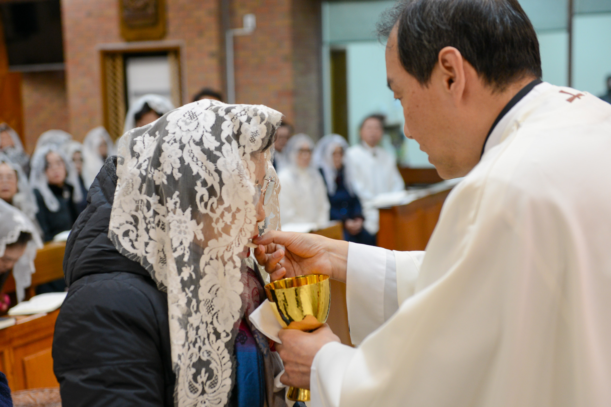 1월 양혈성체 9.jpg