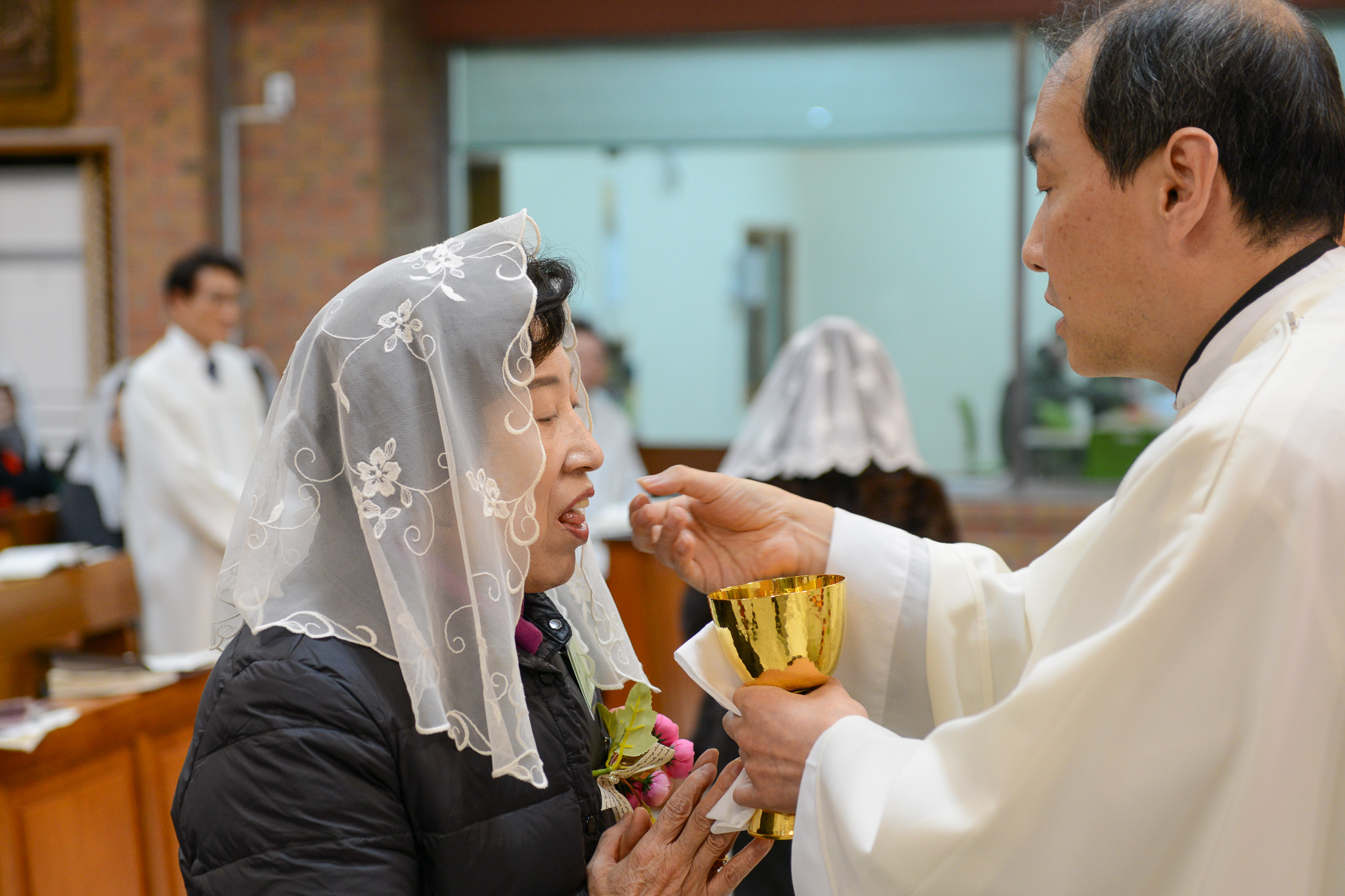 1월 양혈성체 5.jpg