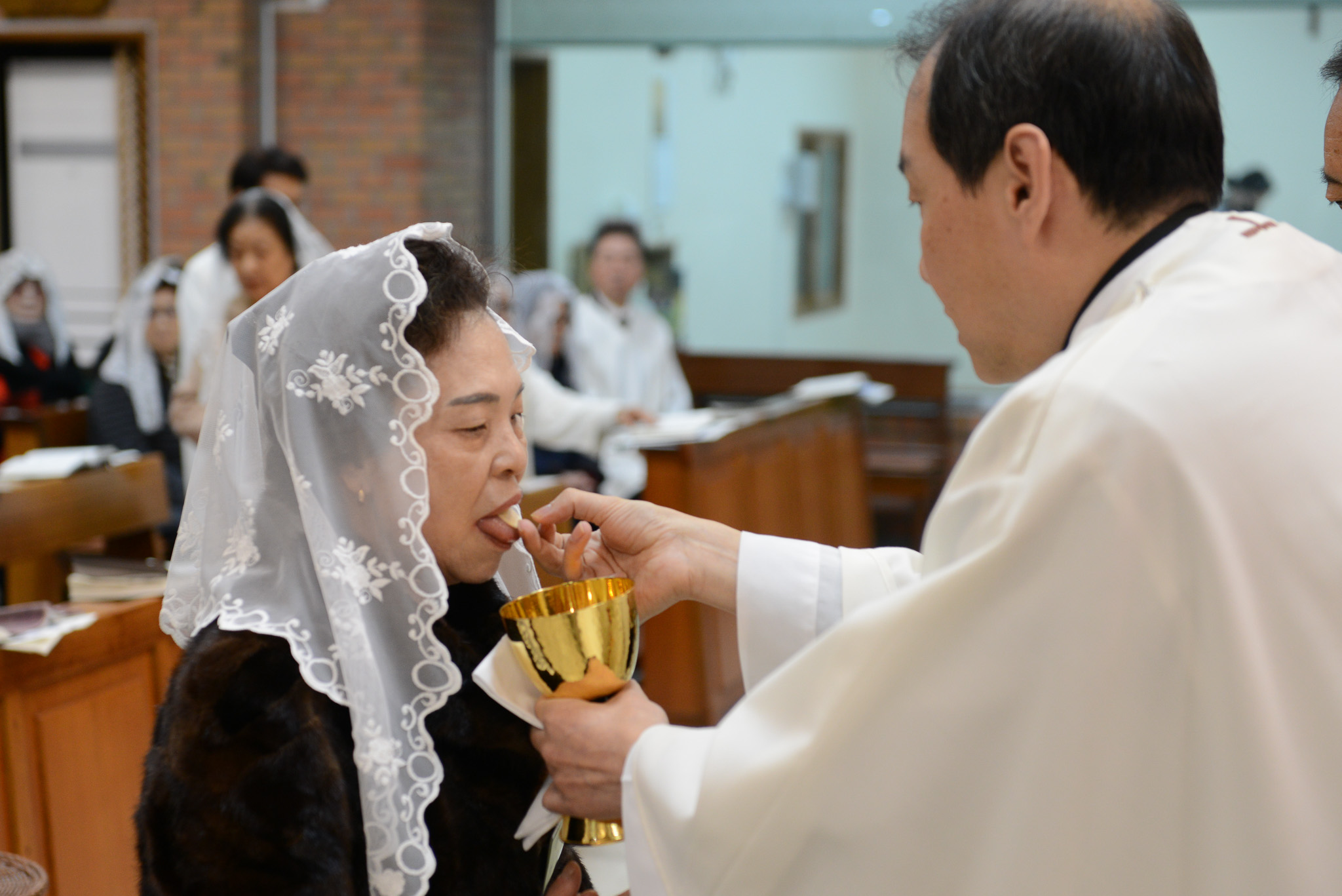 1월 양혈성체 4.jpg