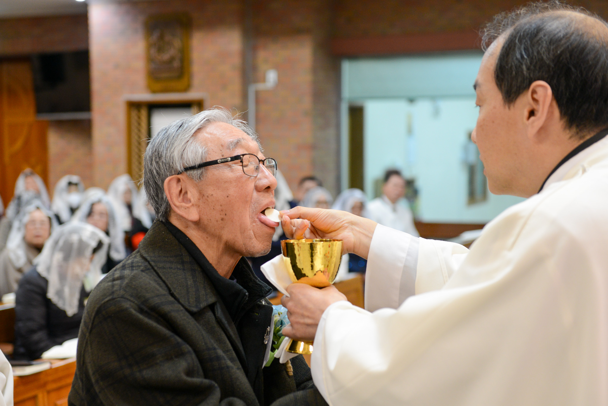 1월 양혈성체 8.jpg