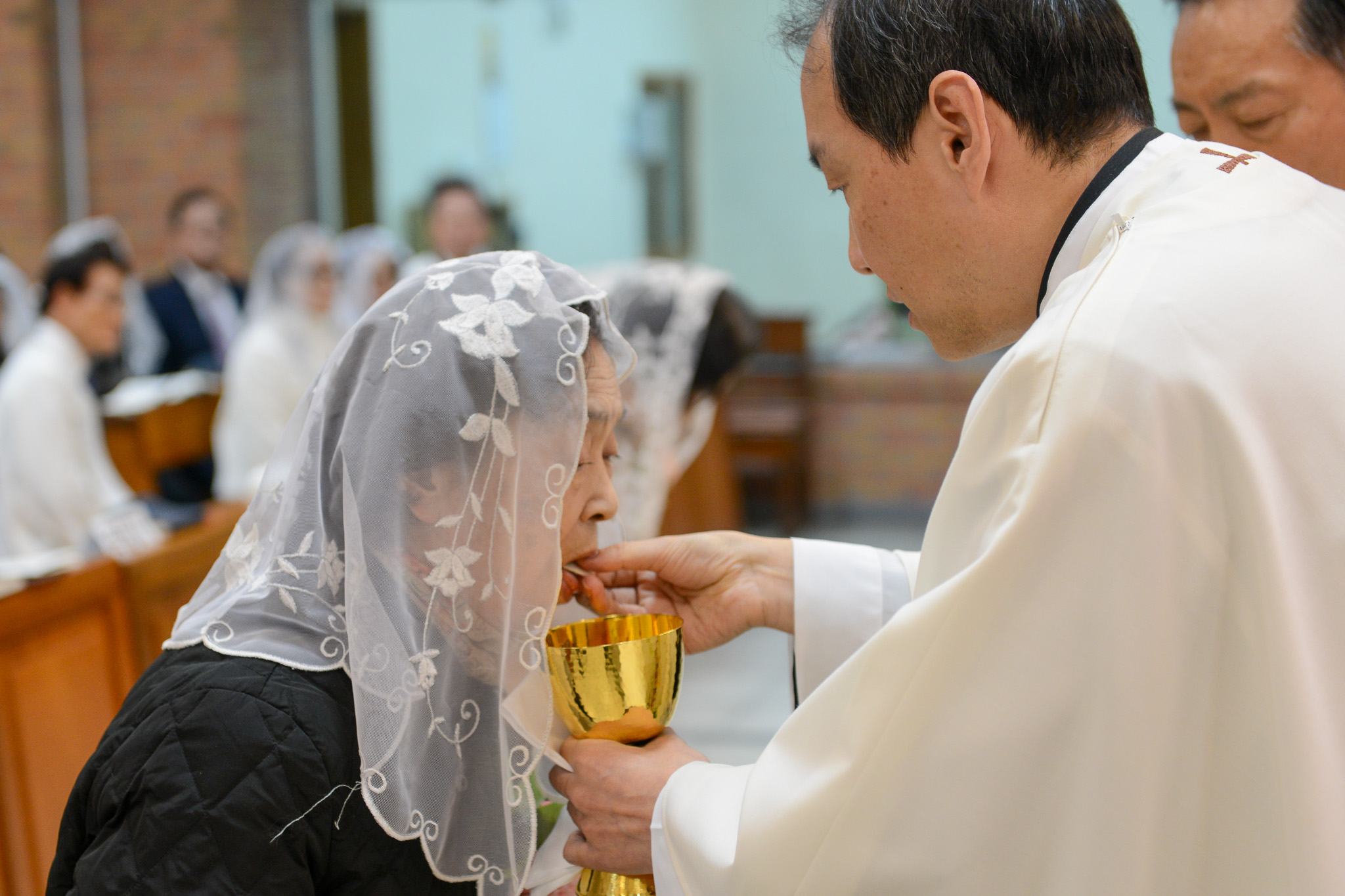 1월 양혈성체 3.jpg