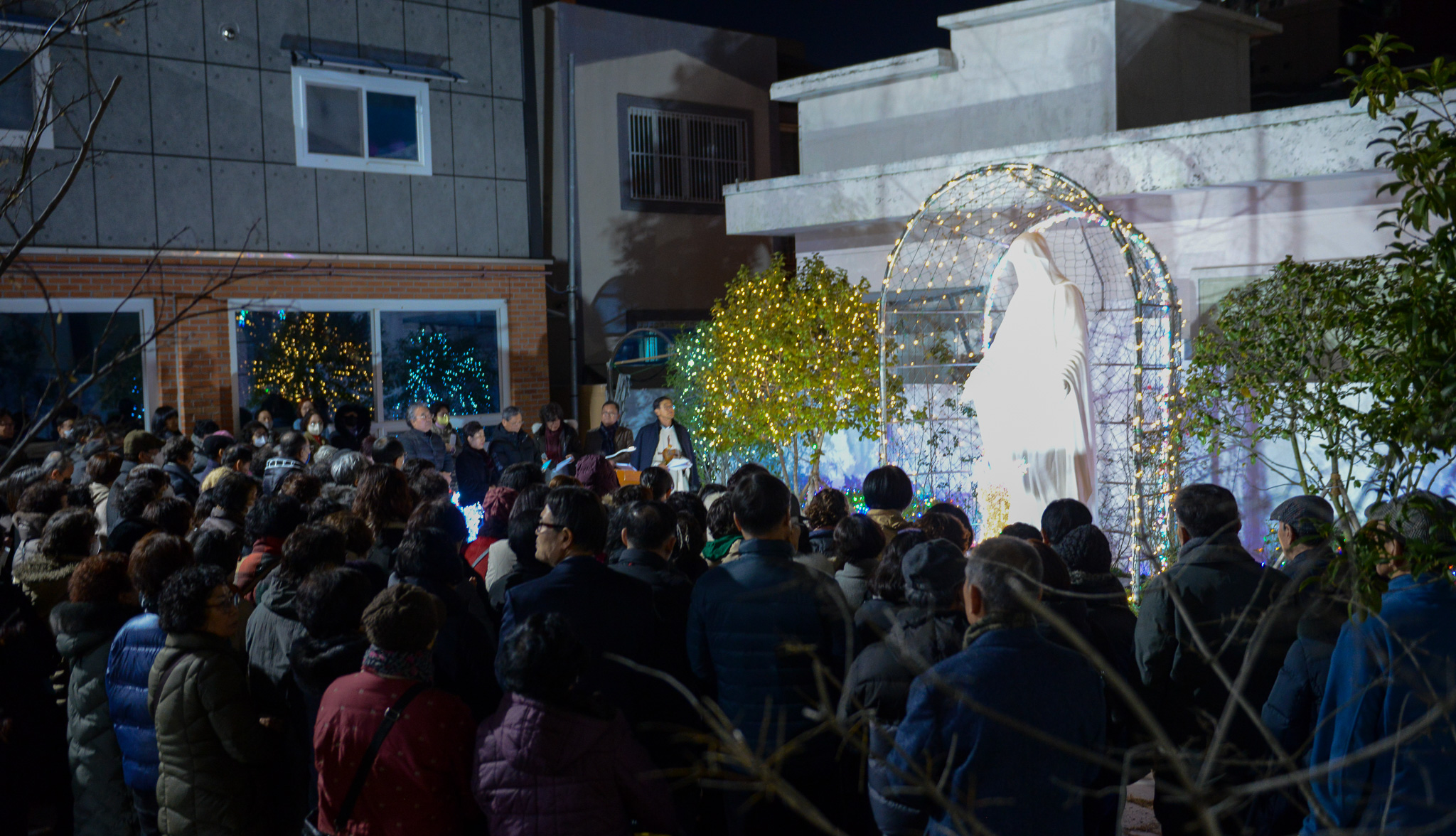DSC_2962.jpg