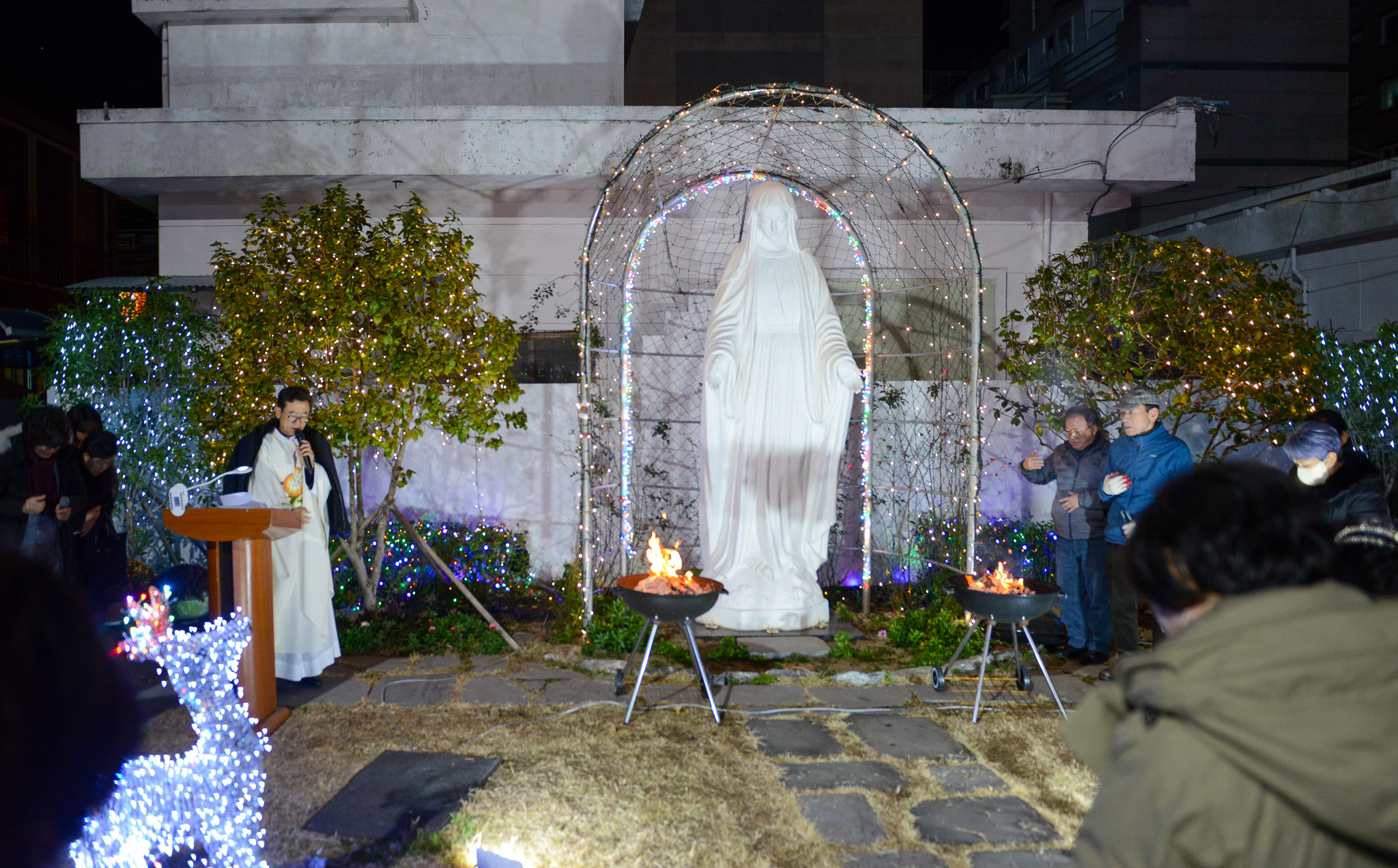DSC_3009.jpg